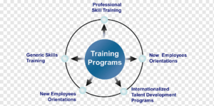 software training