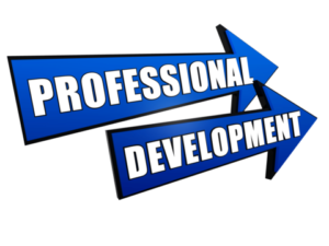 software training